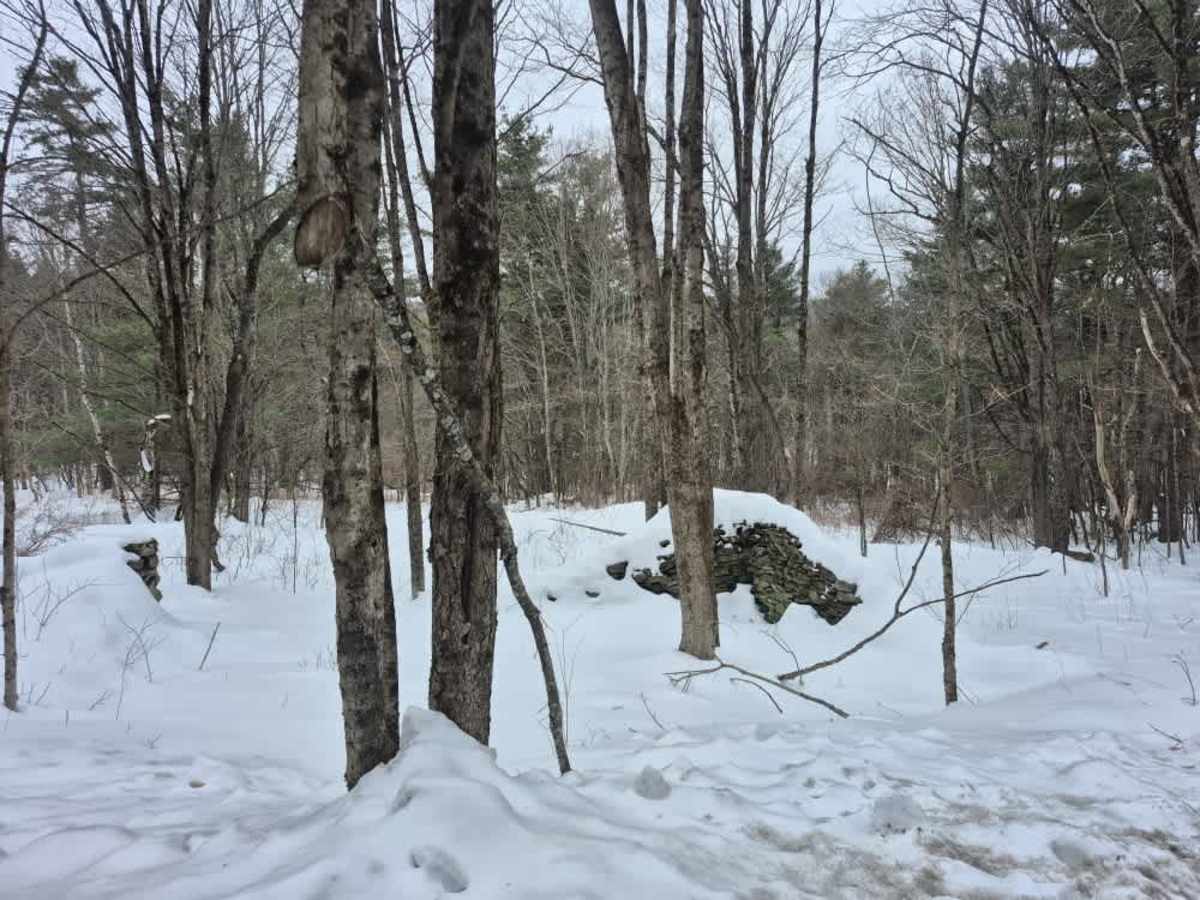 Cook Hill Road photo 2