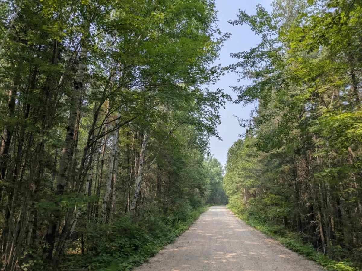 Moose Loop photo 3