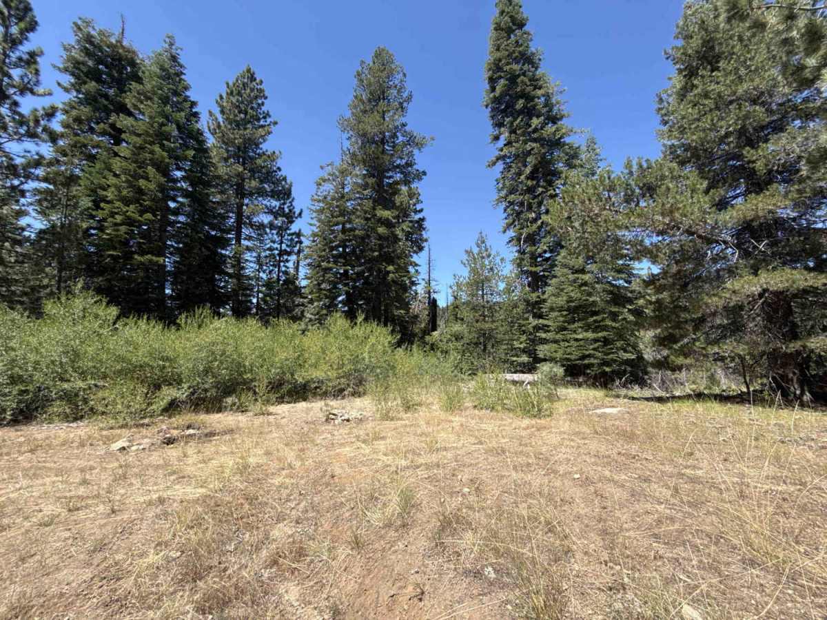 Upper Votaw - FS 8N13 trail photo