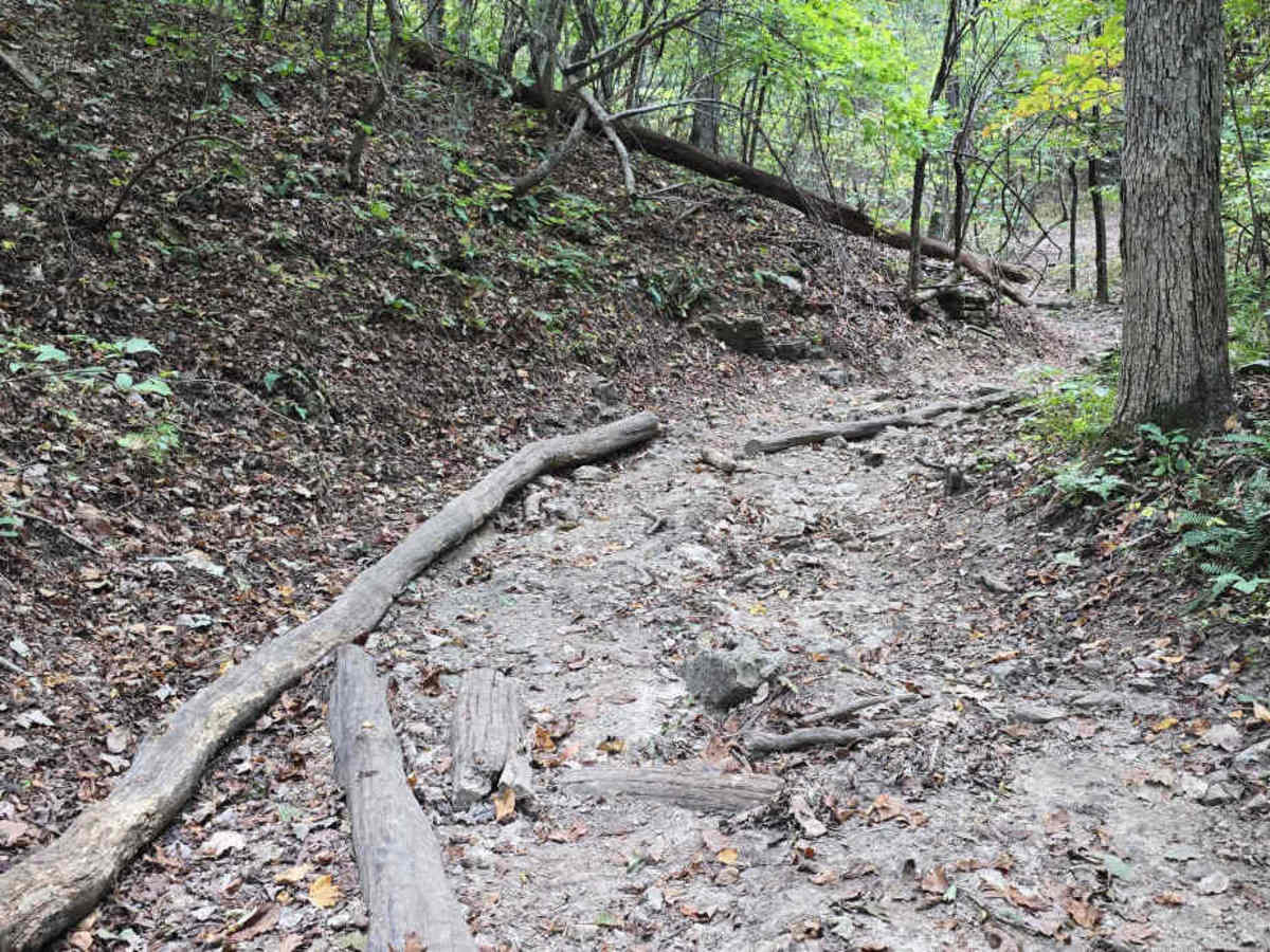 Barely Hung Trail photo 4
