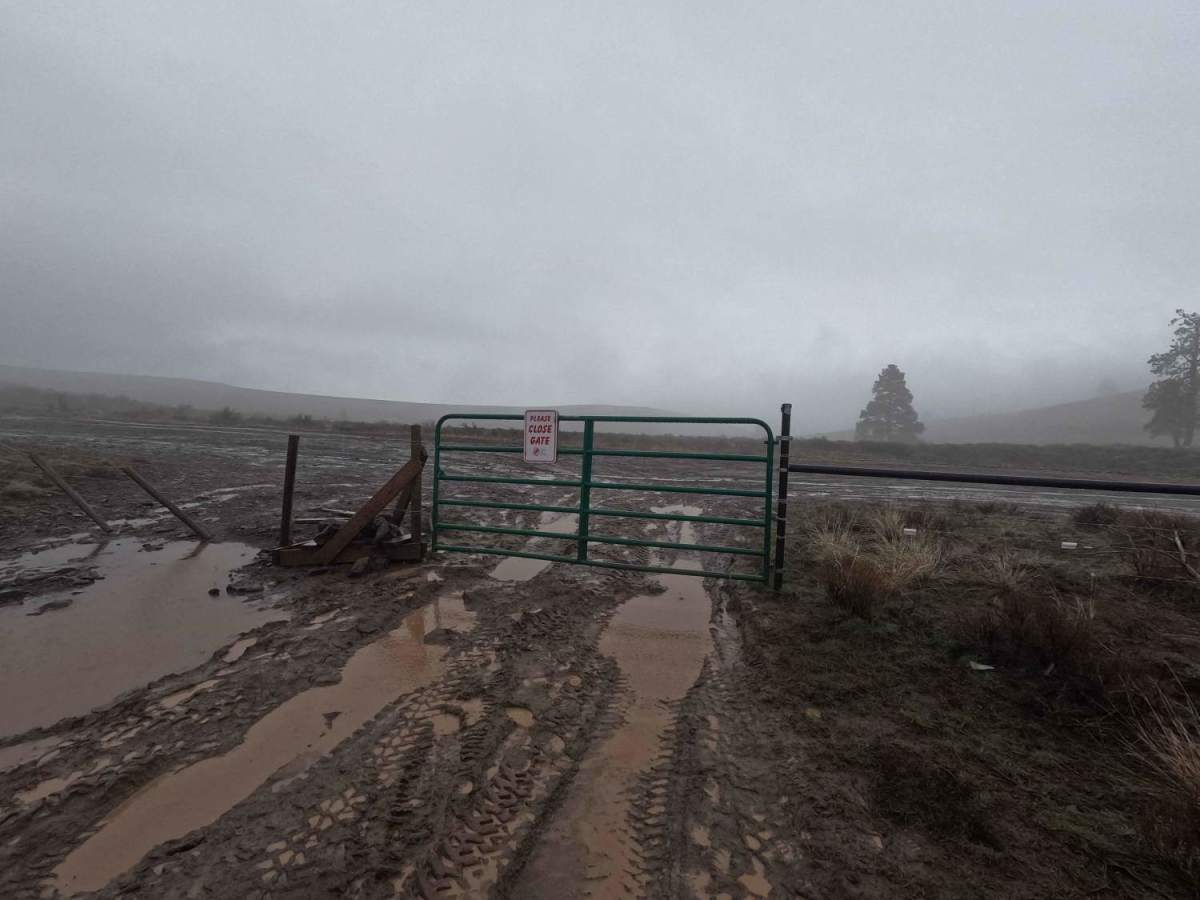 Parke Creek Road photo 4