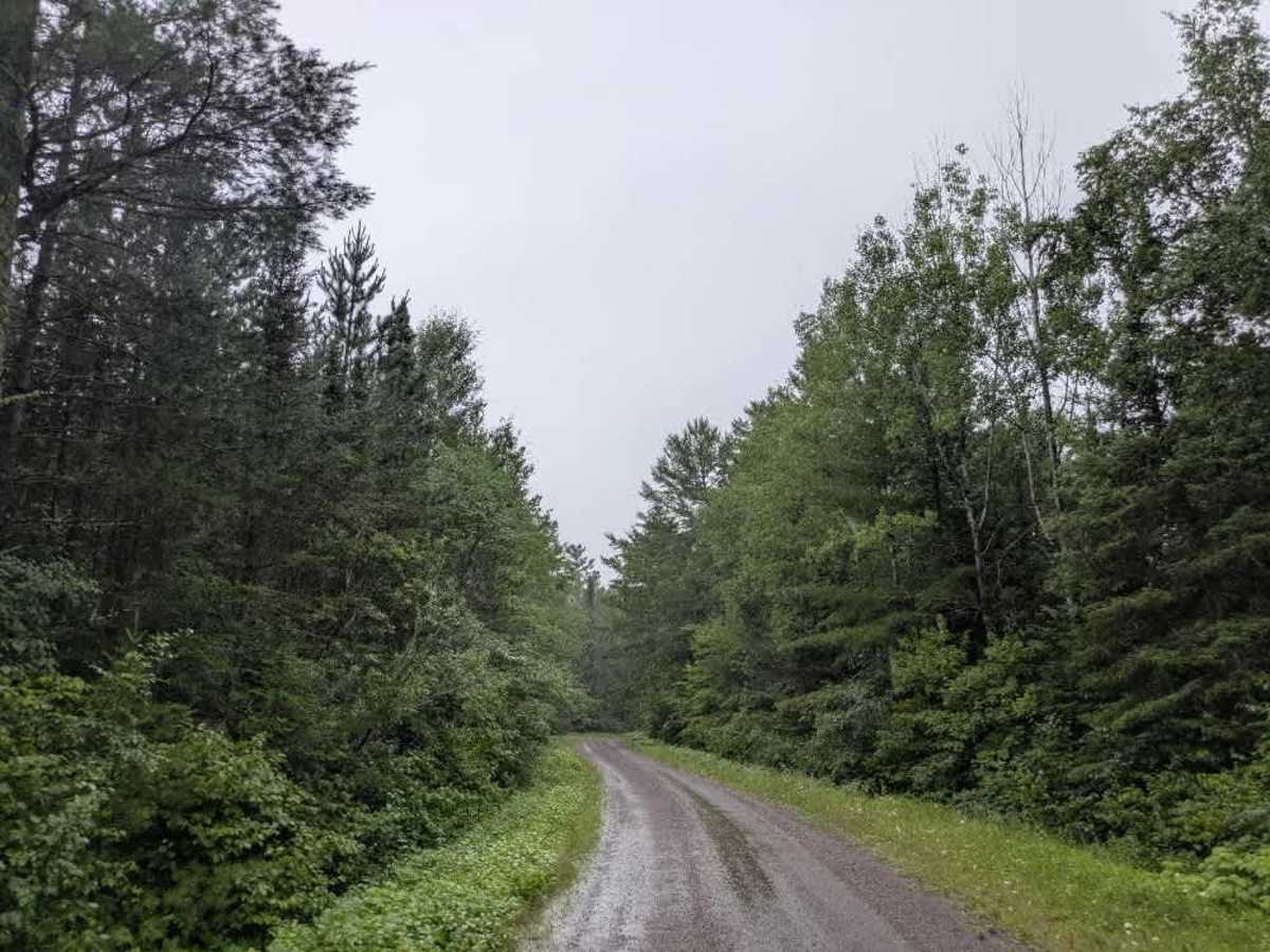 Tait Lake trail photo