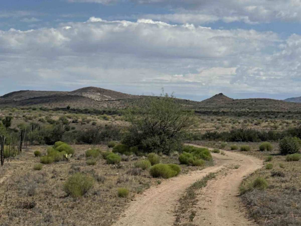 Sandy Gate Wash Trail  photo 3