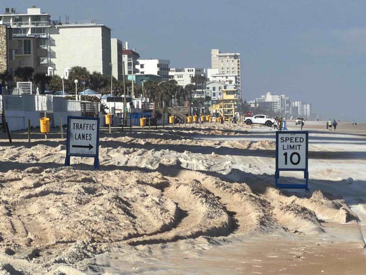 South Ormond Beach photo 5