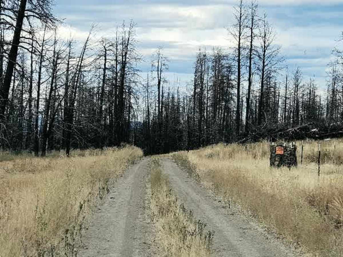 FS 5870300 trail photo