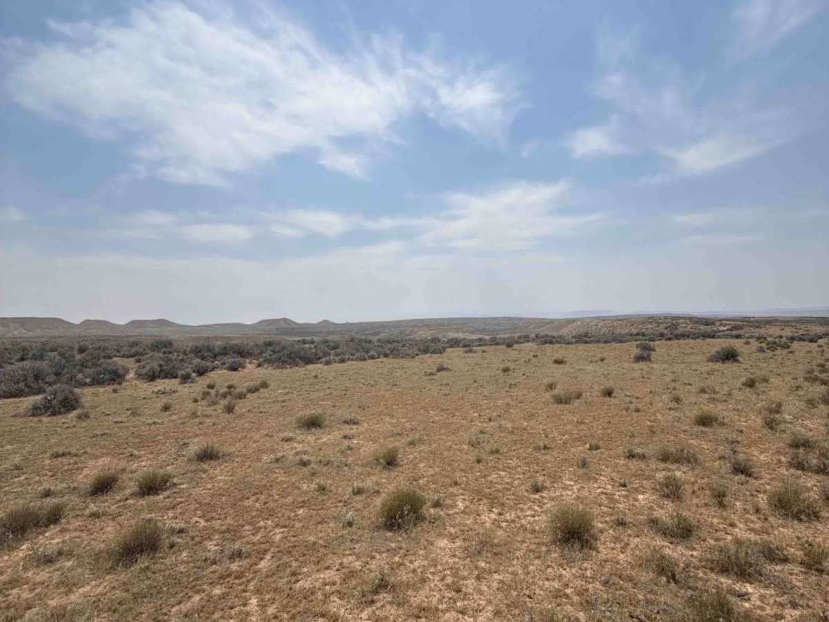 BLM 114 photo 3