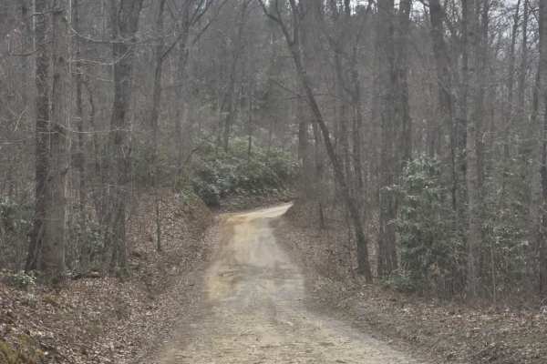 Big Creek South