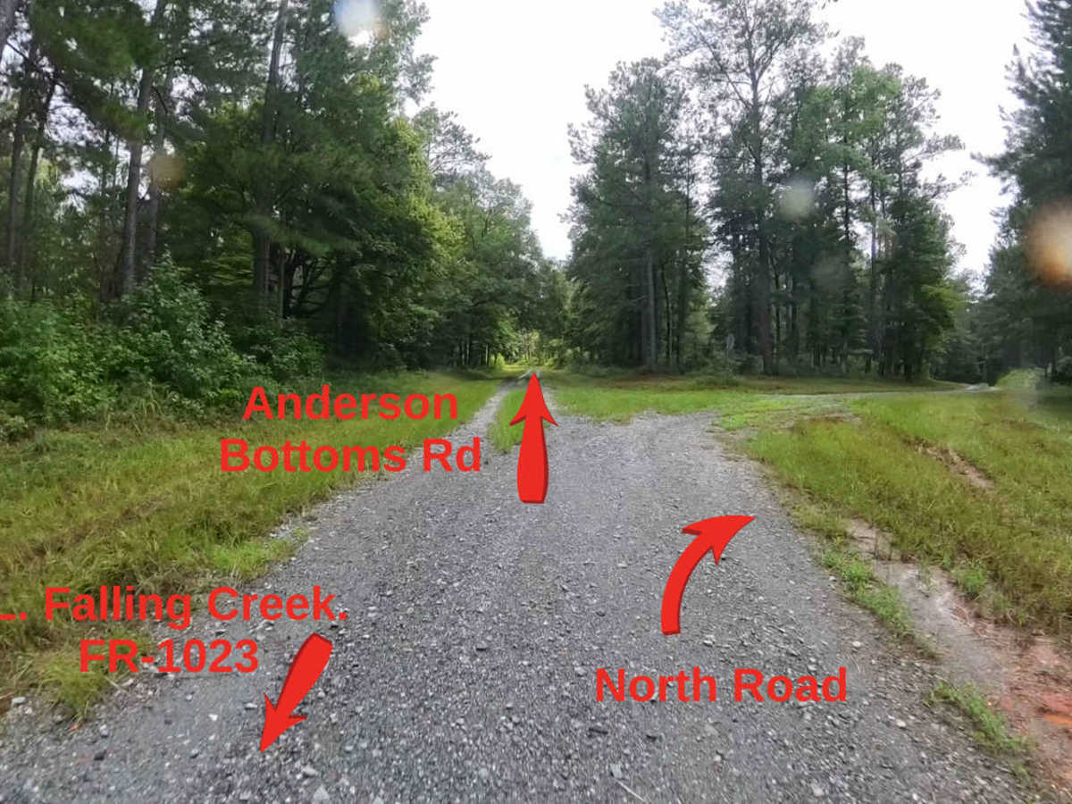 Anderson Bottoms Road photo 4
