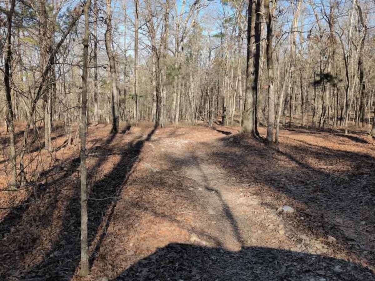 G15 Road to Adventure photo 5
