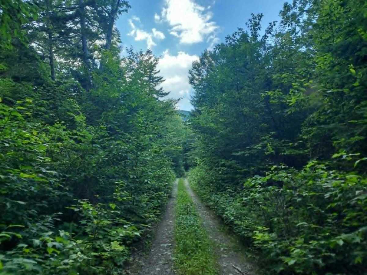 SCOPAN Mountain Loop photo 3