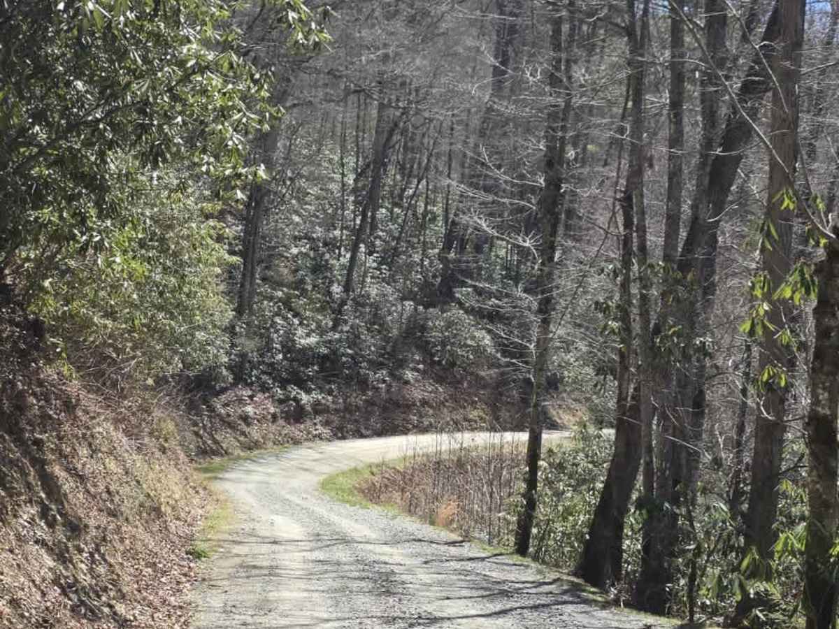 Cataloochee Creek Road photo 3
