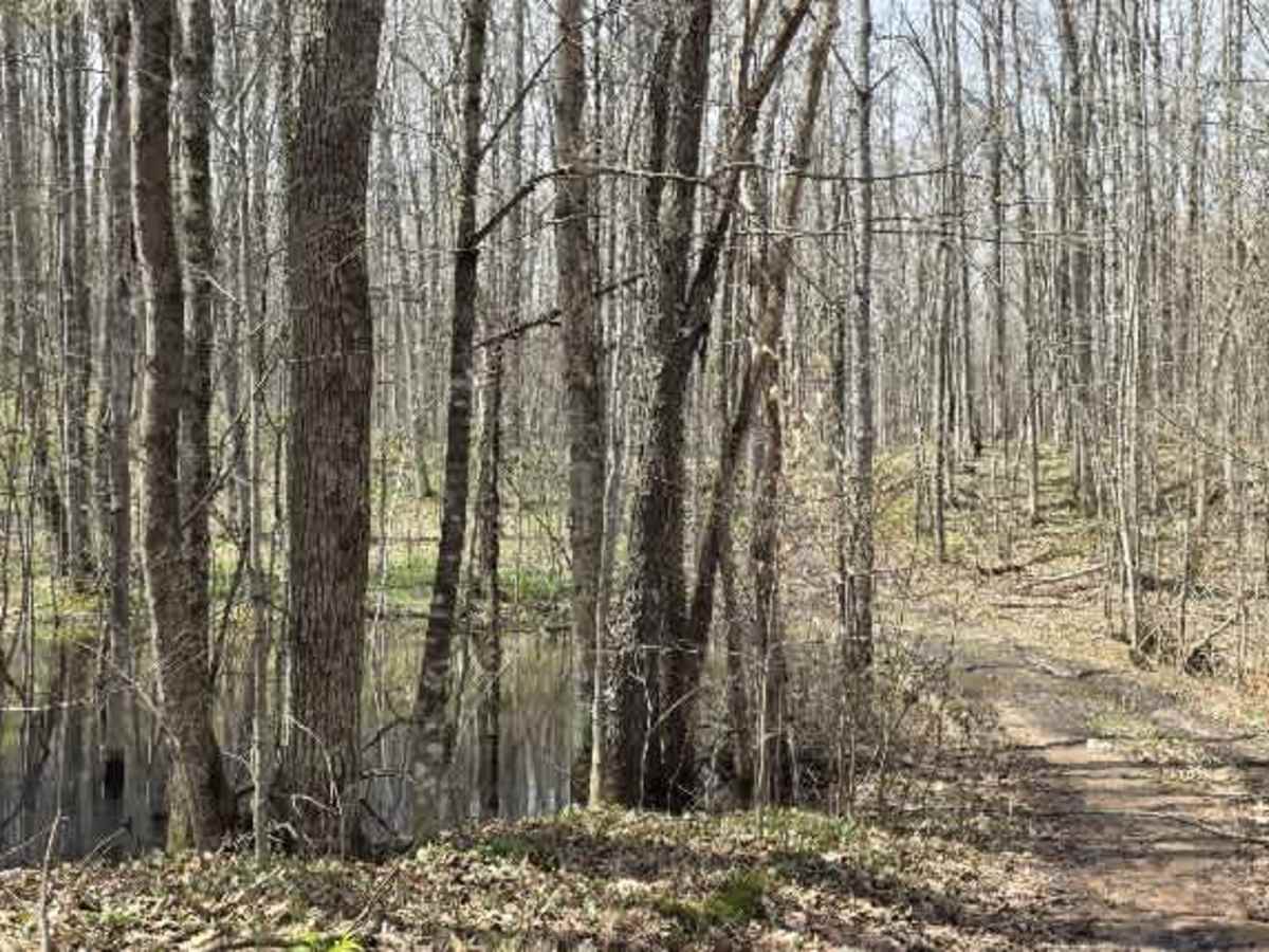 Natural Dam Trail photo 5