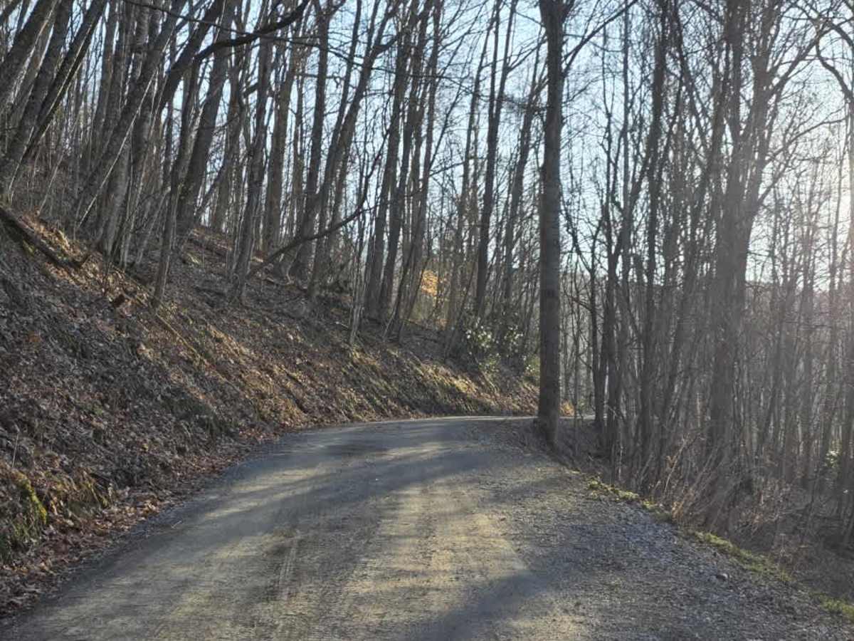 Sutton trail photo