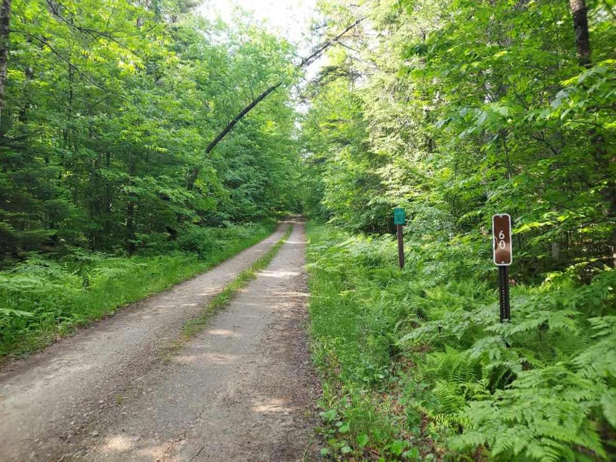 Black Branch Trail  trail photo