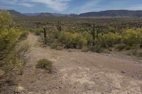 BLM 28057