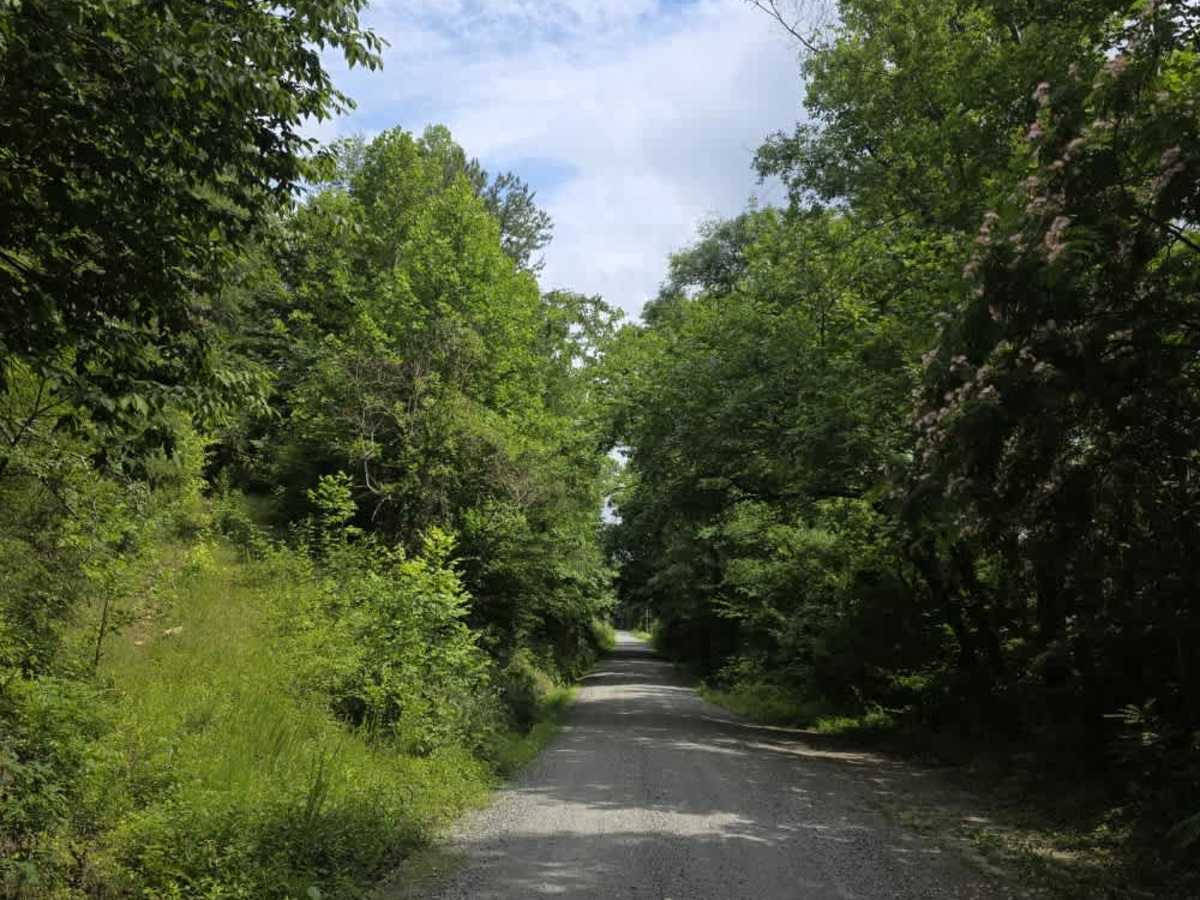 River Road photo 3