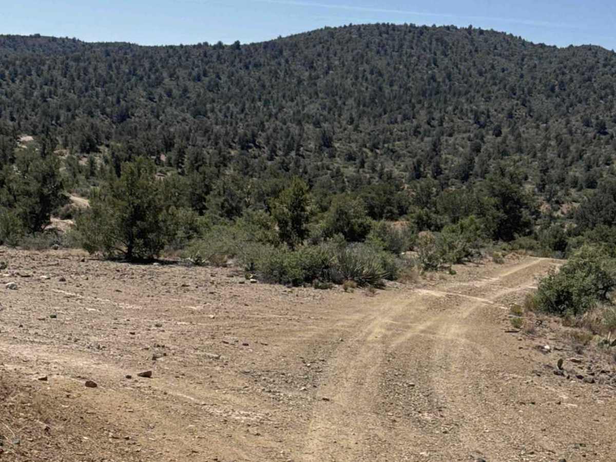 51026 trail photo