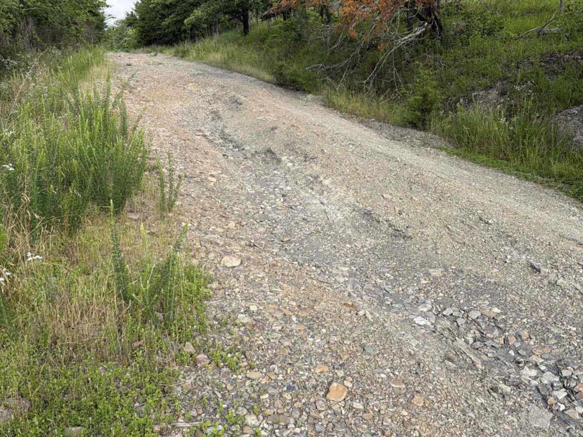 Oakwood Cemetery Road - FS 105 trail photo