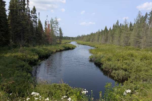 Plum Lake