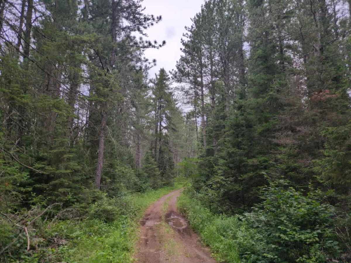Tomahawk Spur E photo 5