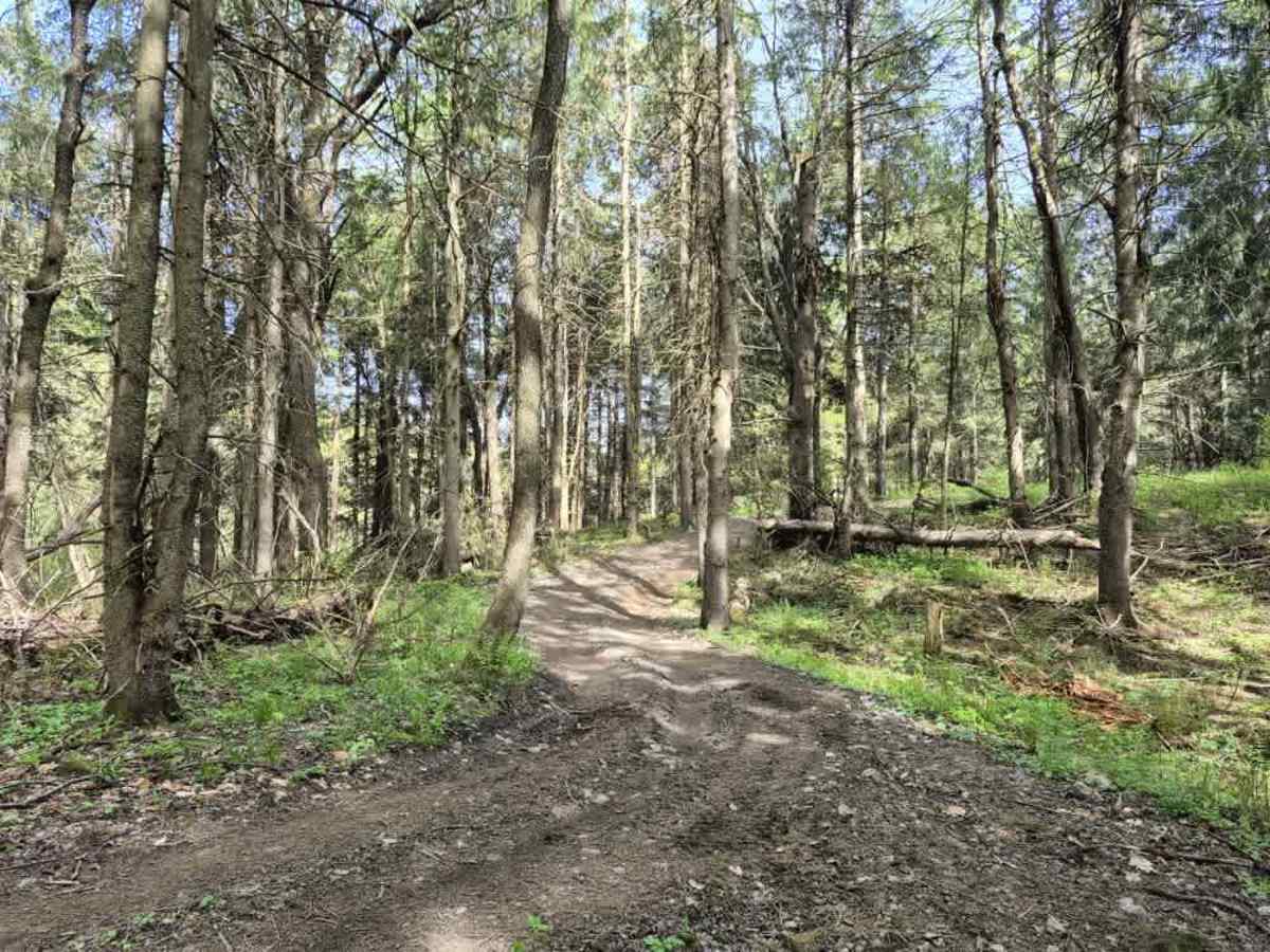 Upper Forks-Factory Trail photo 3