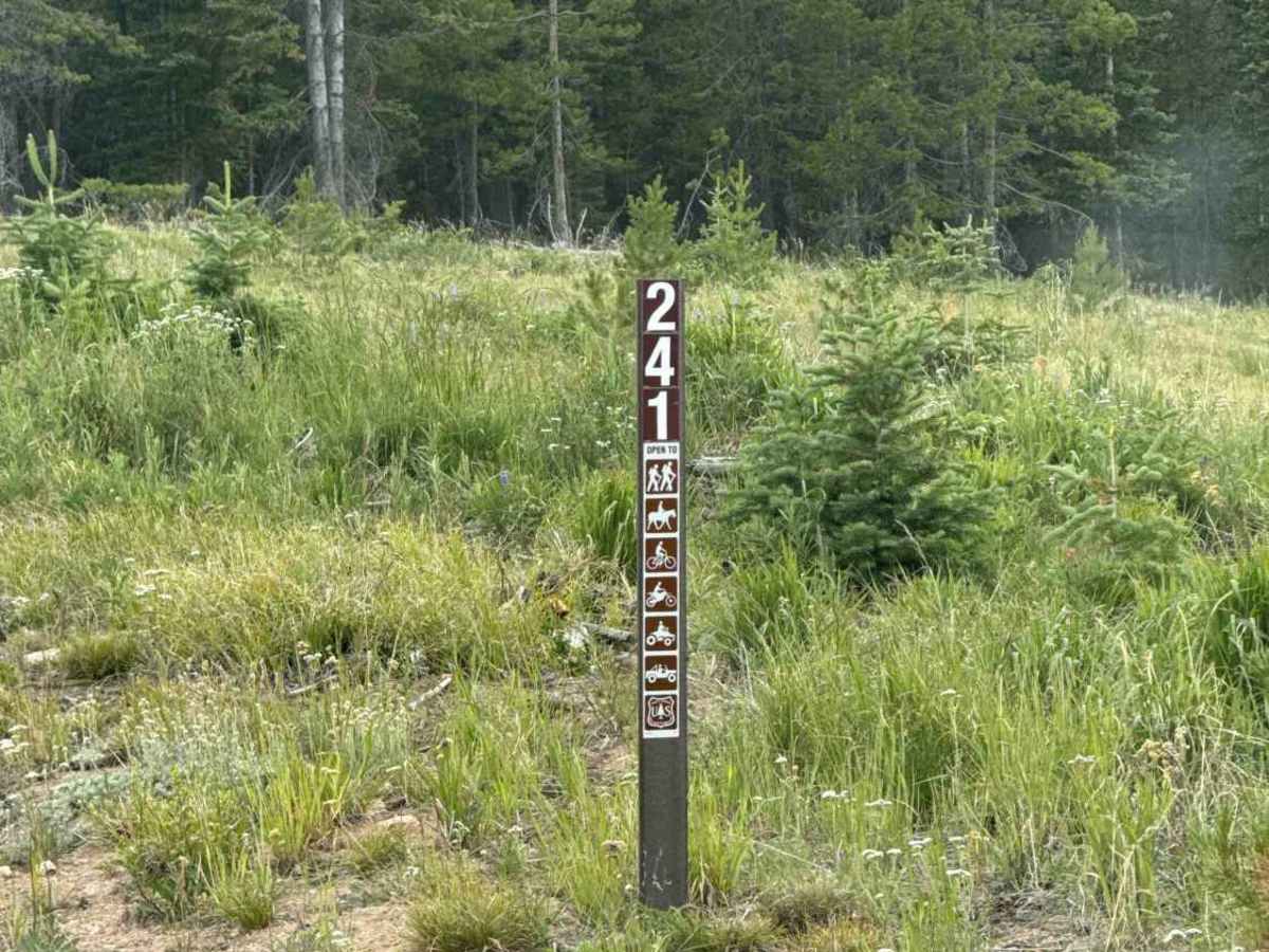 Sawmill Road - FS 241 photo 4