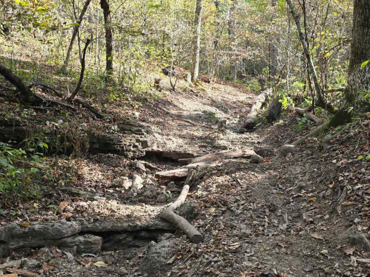 Turtle Trail trail photo