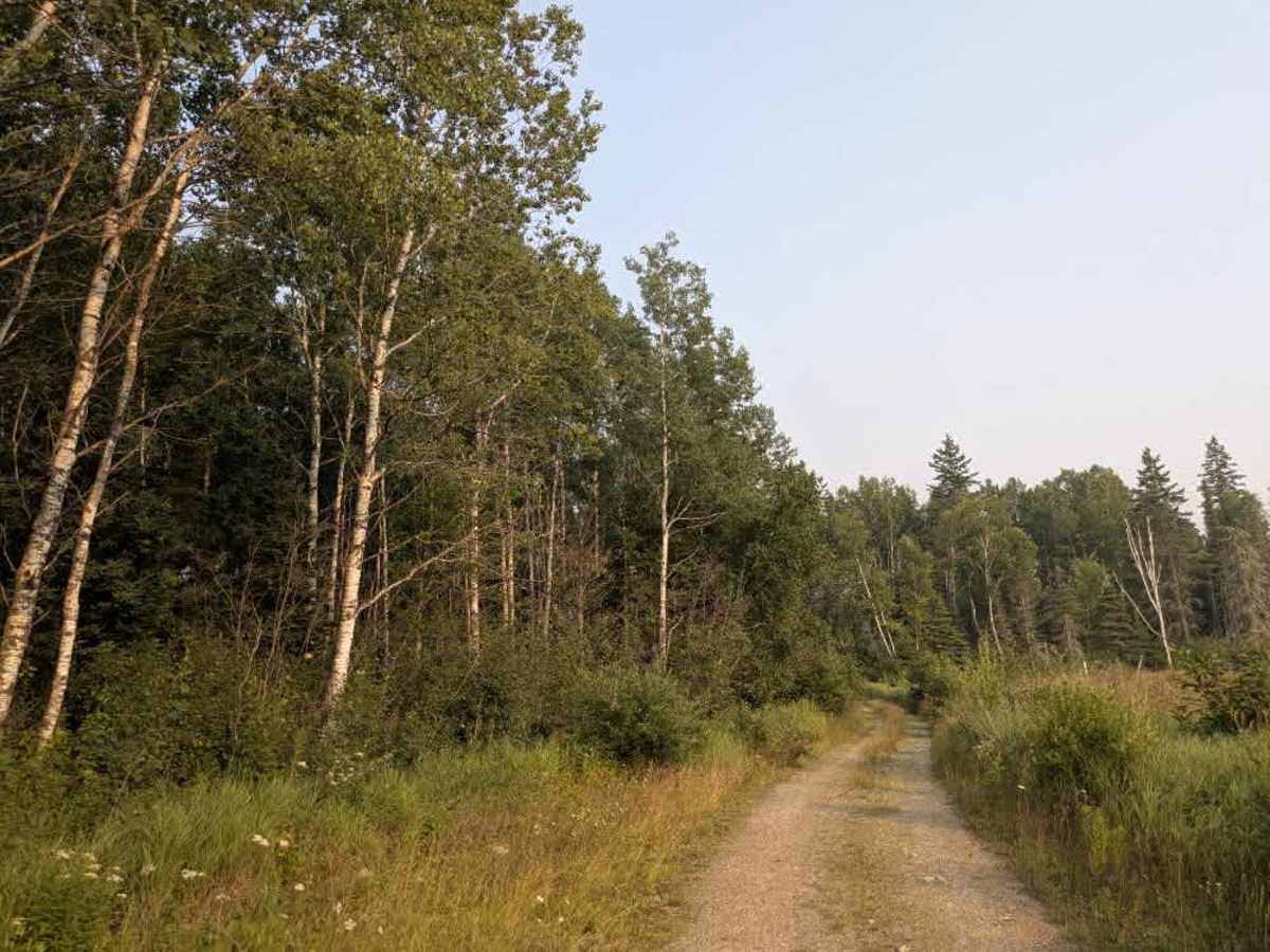 Hilda Creek trail photo