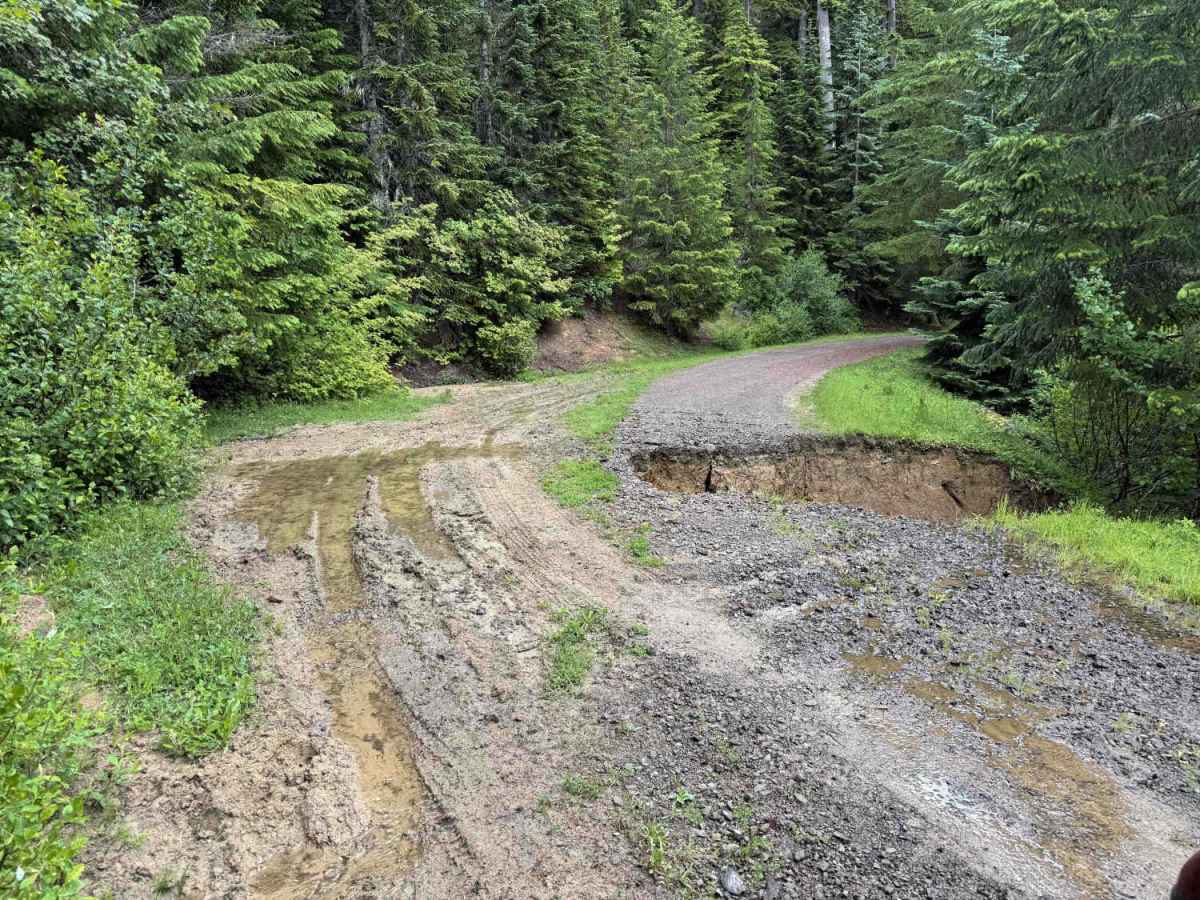 Intake Creek - FS 5210 trail photo