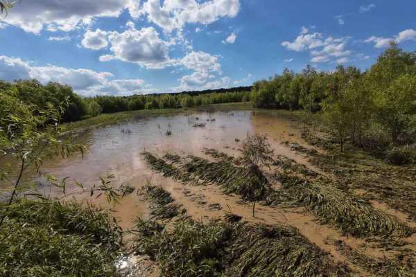 Panther Creek Trail