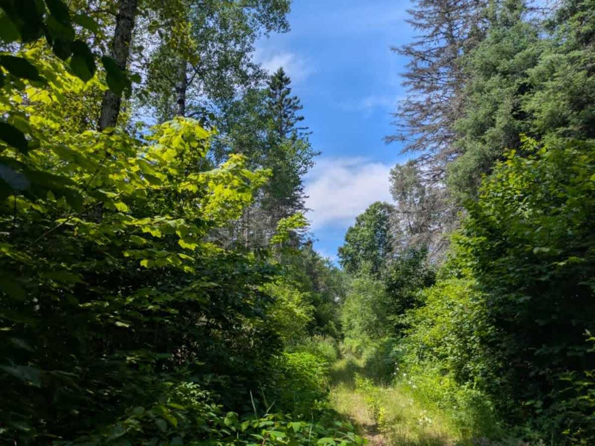 Kane Lake Spur B photo 5