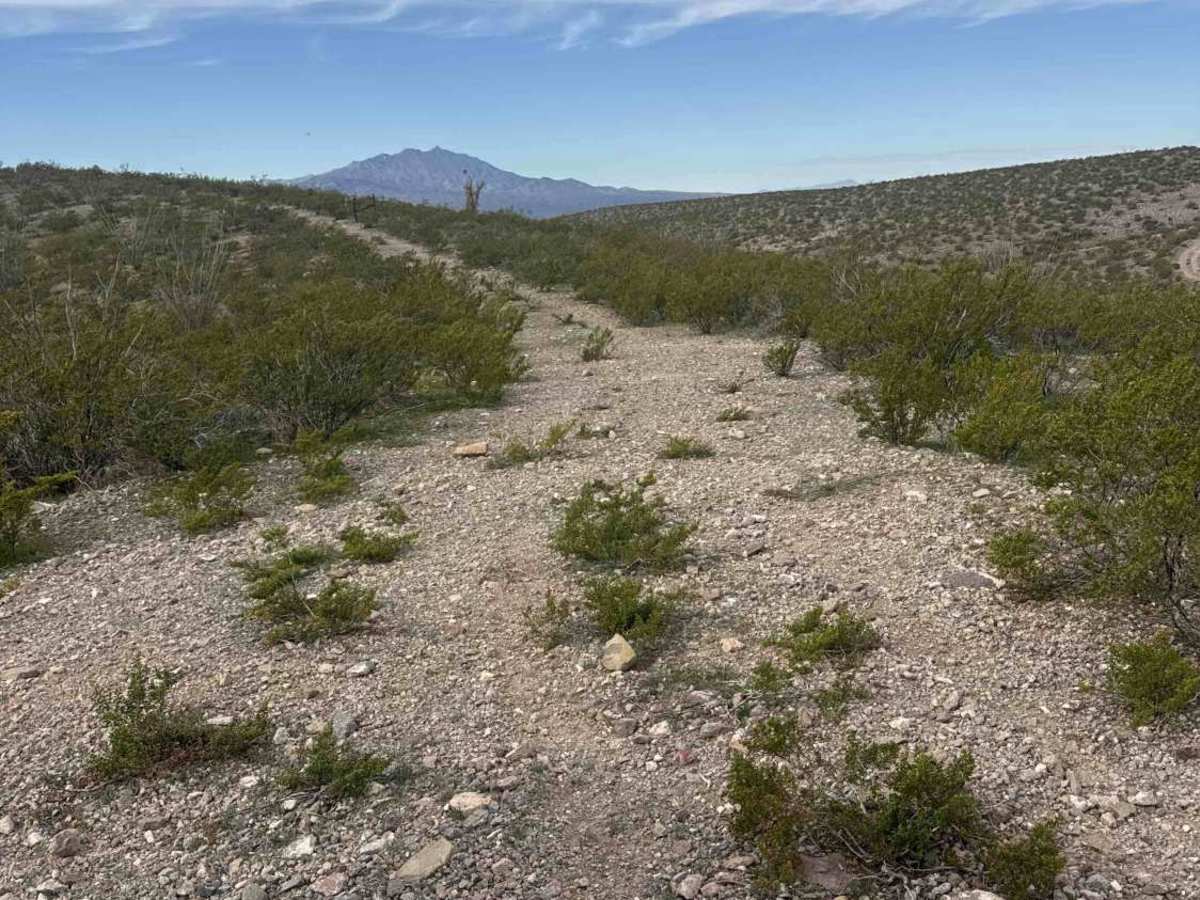 Fh1048 trail photo