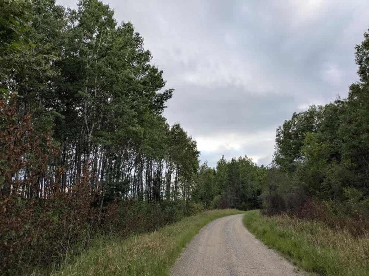 County Road 80 photo 4