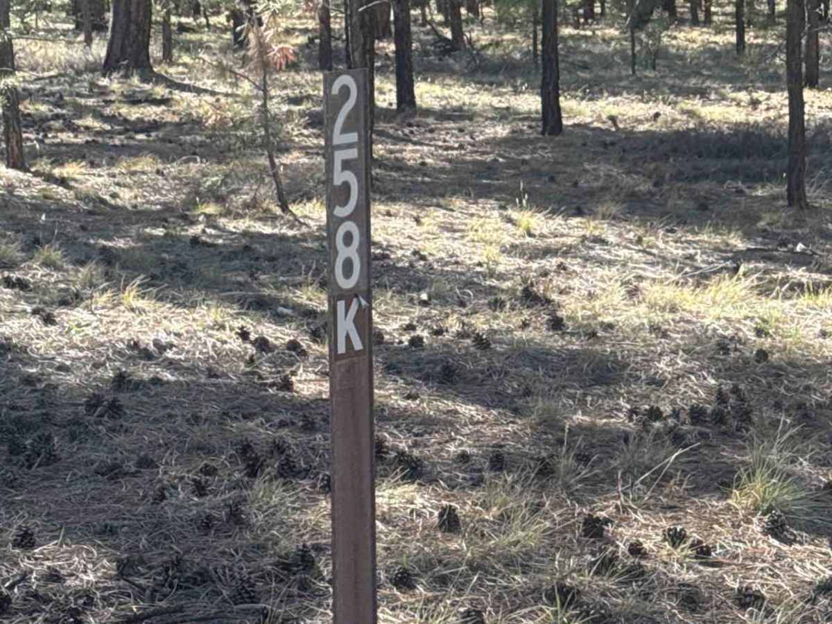The Great Western Trail - FS 258K trail photo