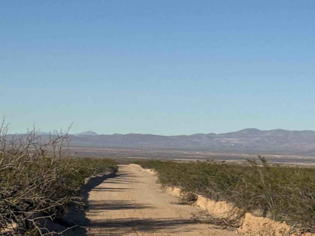 Artesia Road  photo 2