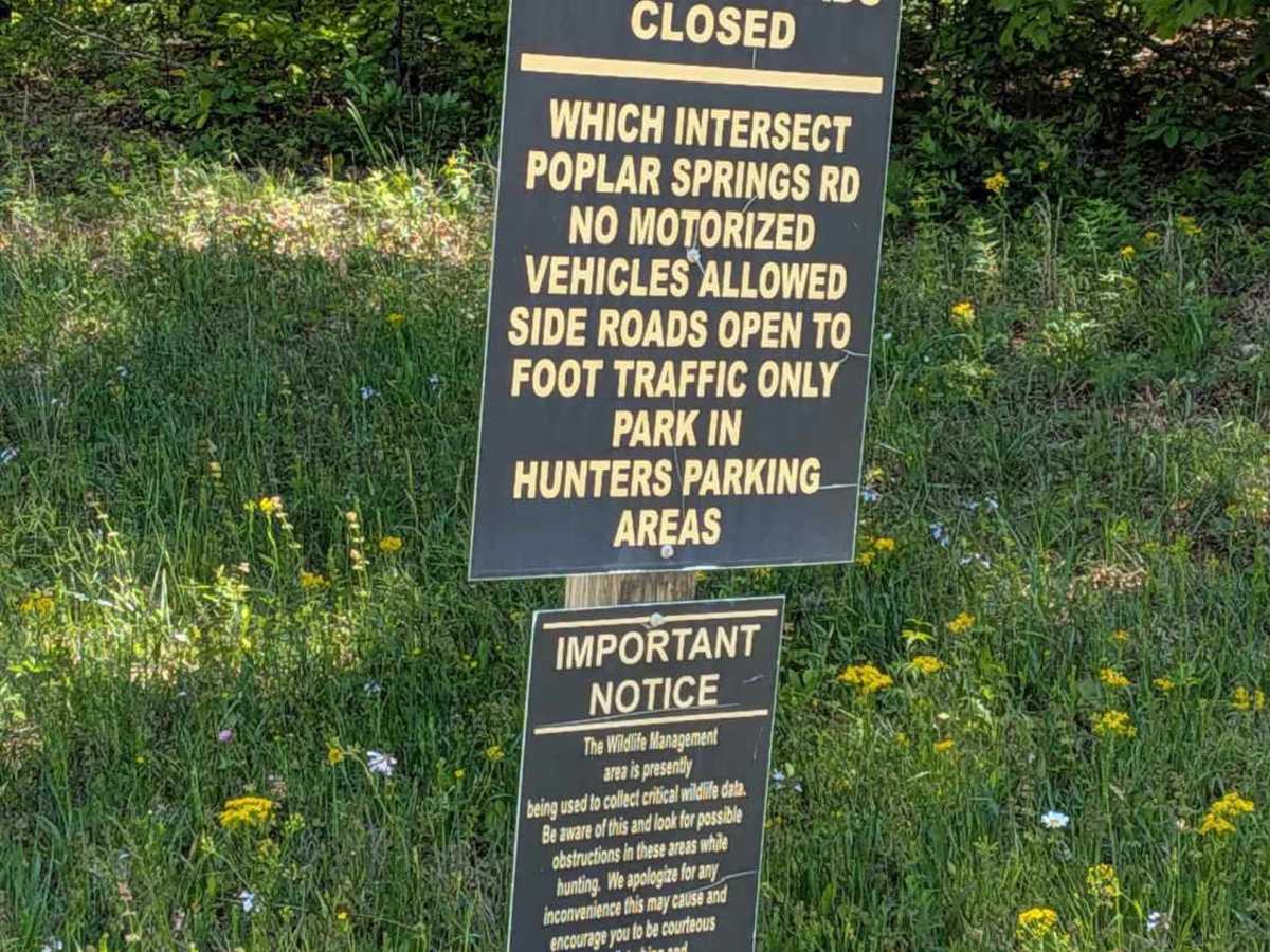 Poplar Springs Road photo 3