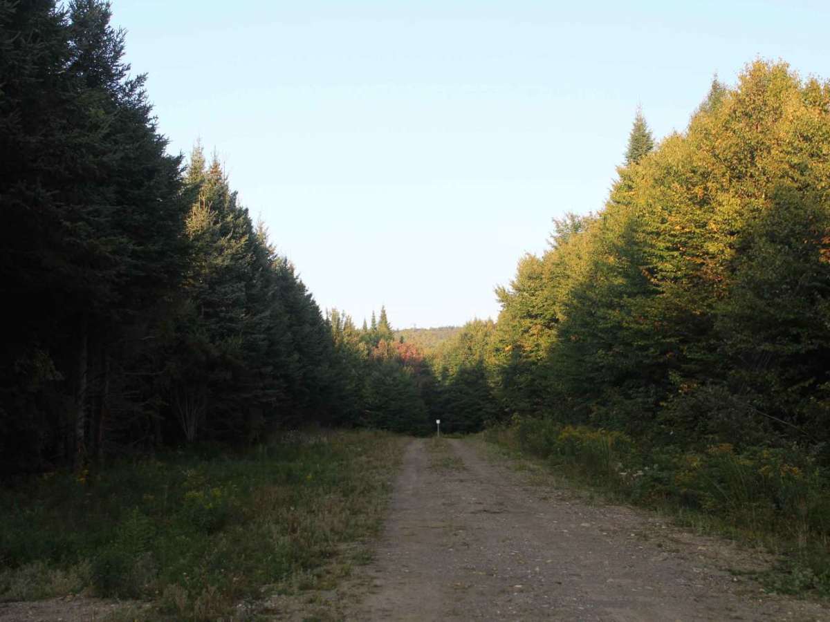 Gordons Trail photo 2