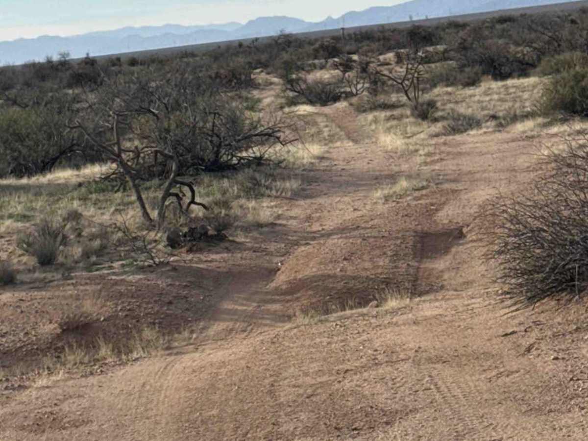 Ss1087 trail photo
