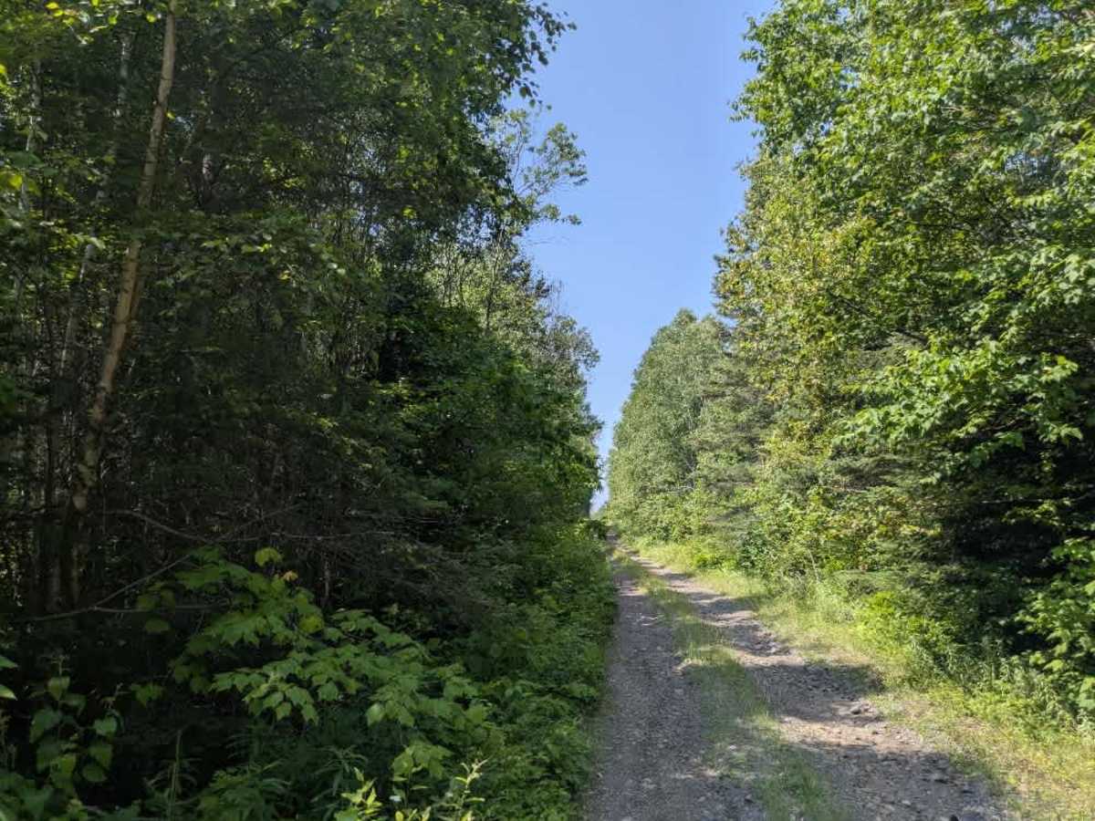 Track Pit Road trail photo