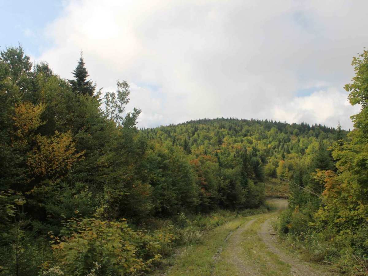 27-20 Trail photo 3
