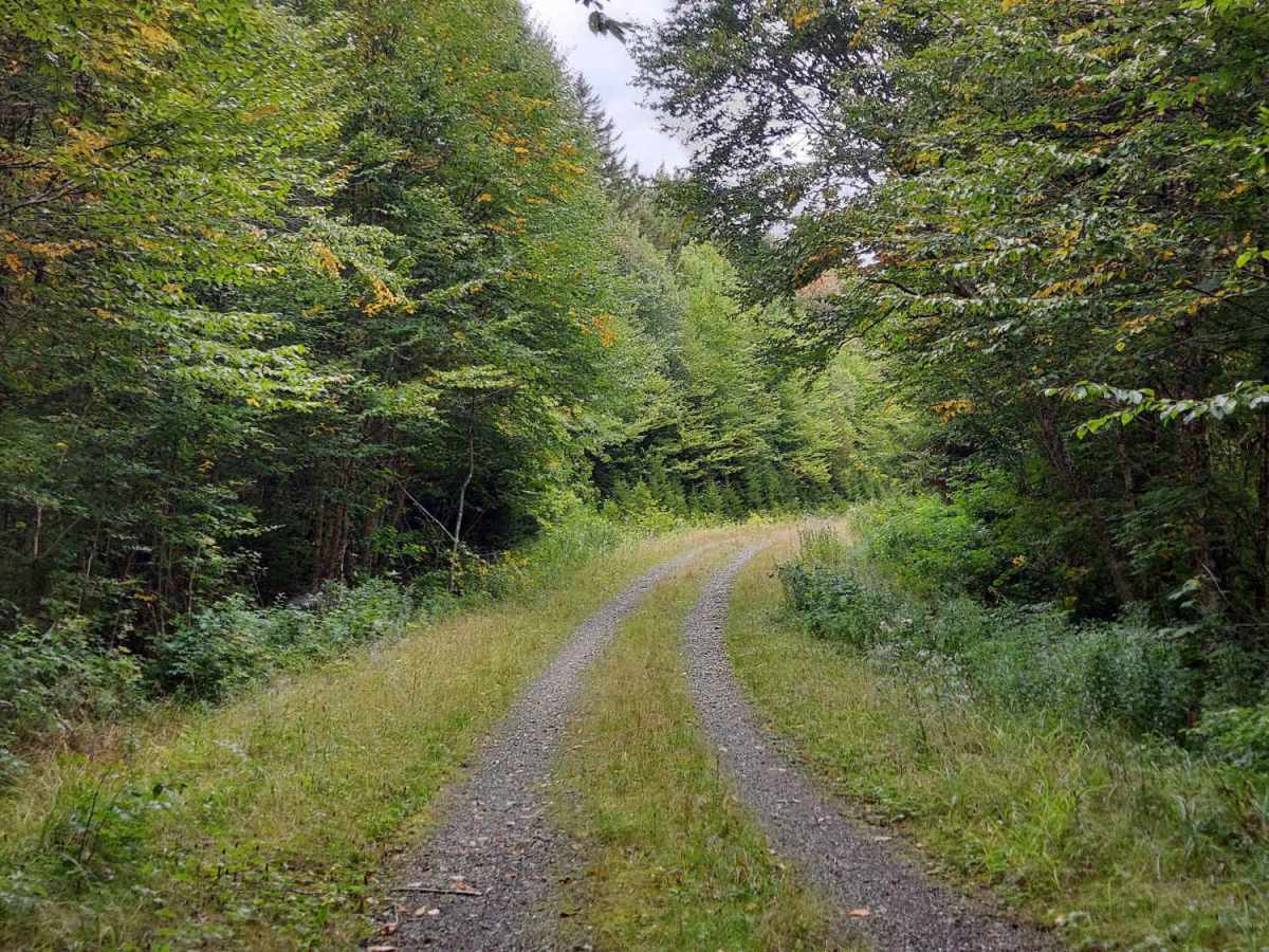 Roby Brook Road photo 3