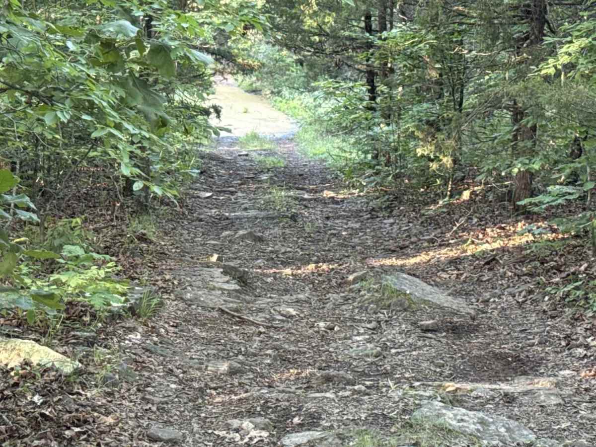 Crawley Ridge photo 6