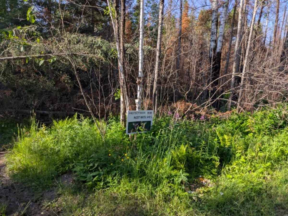 Township Road 6211 photo 5