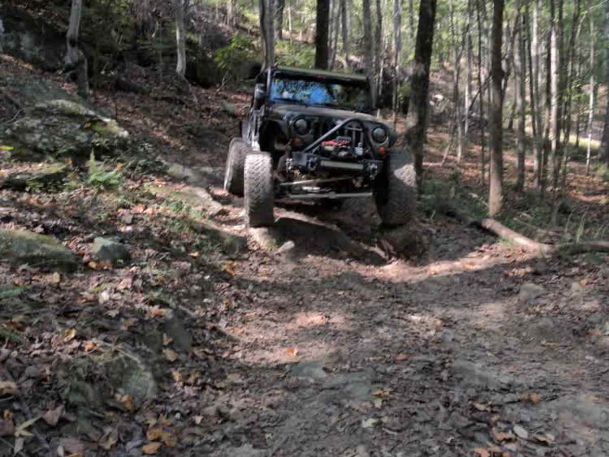 #23 Lucky's Trail photo 6