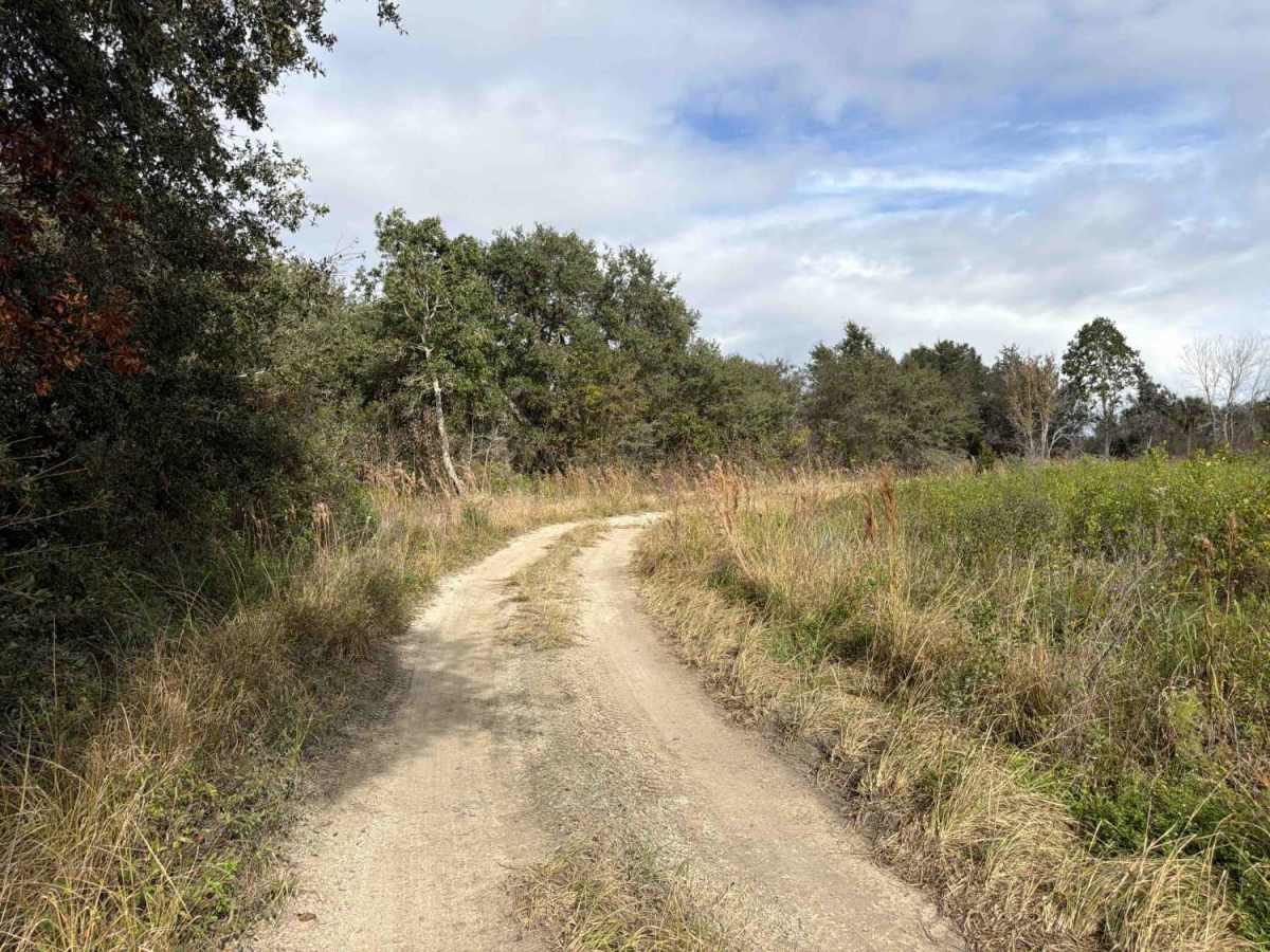 Road 8 Loop - Three Lakes WMA trail photo