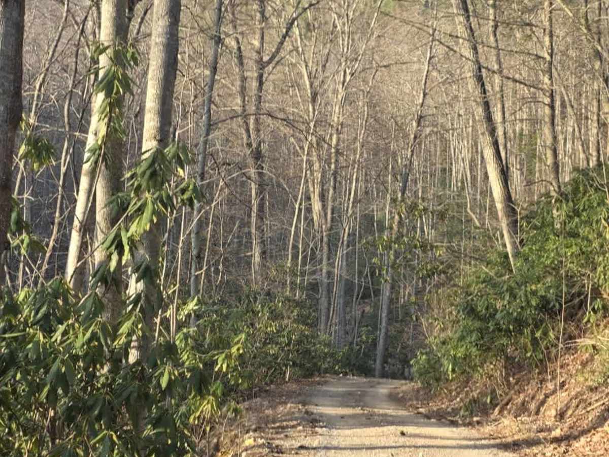 Laurel Mountain / White Rock photo 3