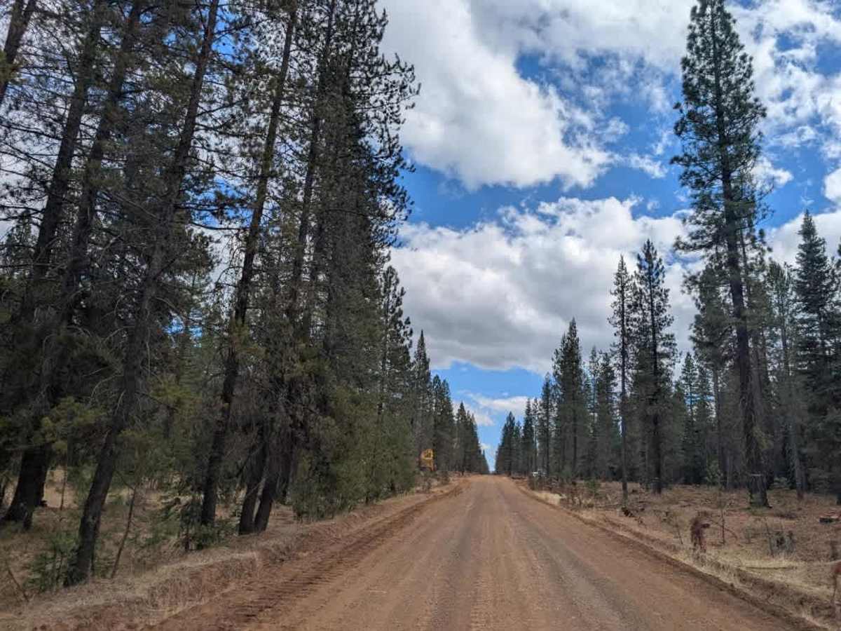Bridge Creek Springs Road trail photo