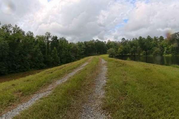 Pond 11a Access Road