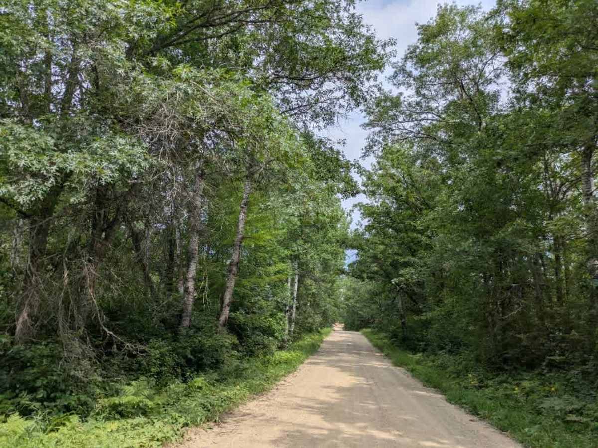 County 39 Northeast trail photo