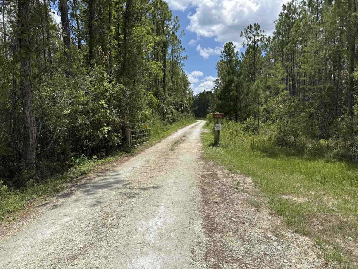 Woody Road Loop photo 3